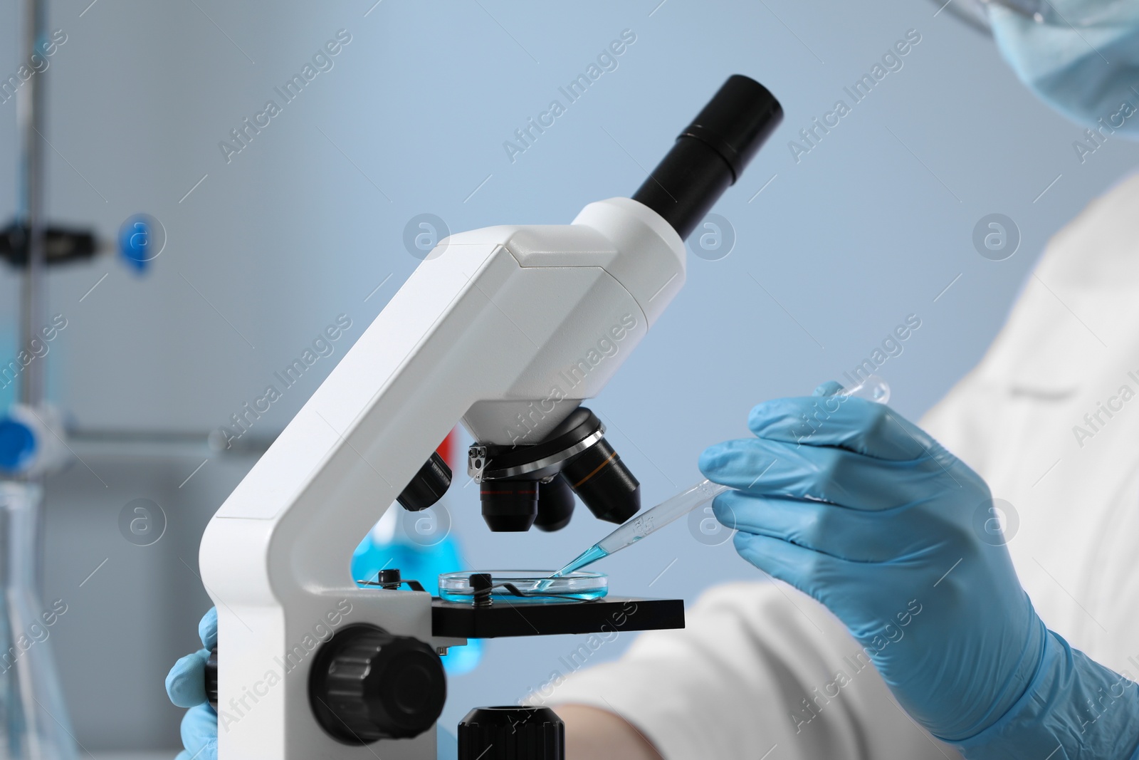 Photo of Scientist dripping sample onto Petri dish while working with microscope in laboratory, closeup