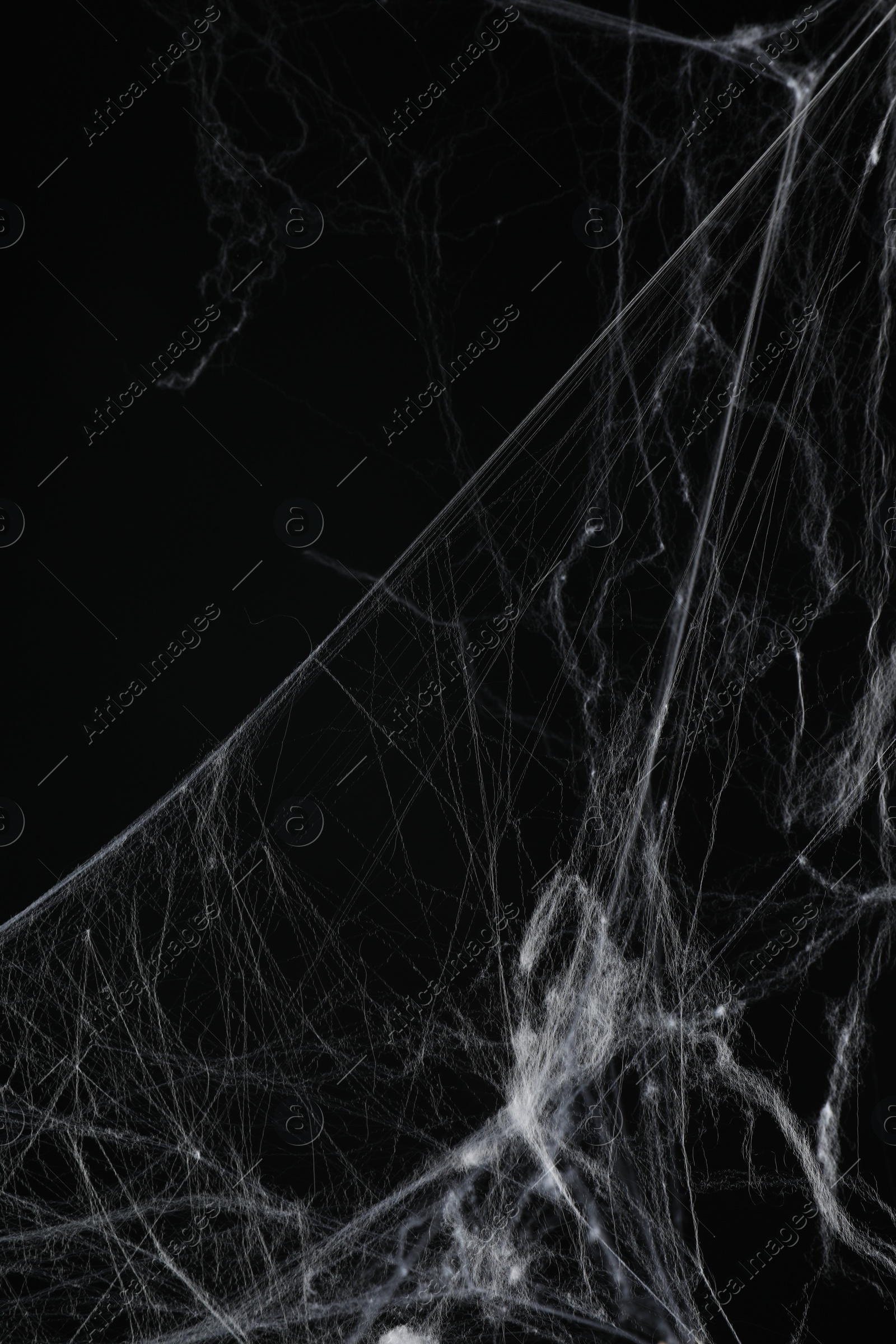 Photo of Creepy white cobweb on black background, closeup