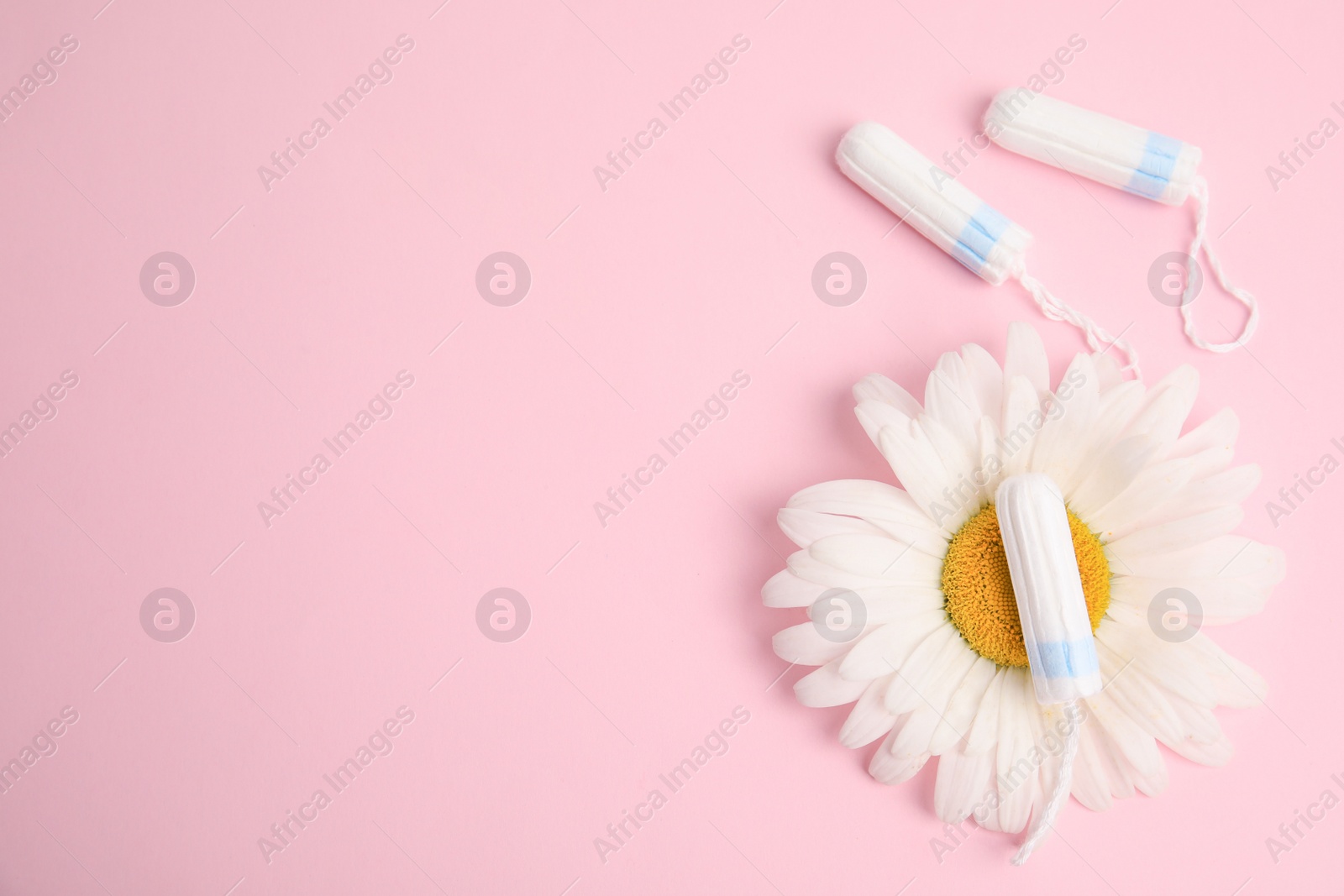 Photo of Tampons and chamomile on light pink background, flat lay. Space for text