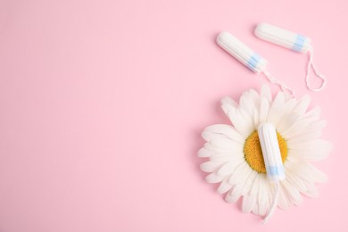 Photo of Tampons and chamomile on light pink background, flat lay. Space for text