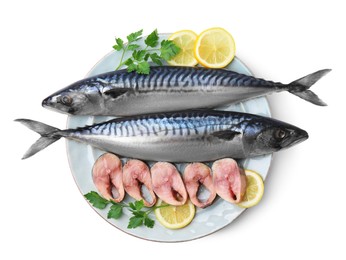 Mackerel fish with parsley and lemon on white background, top view