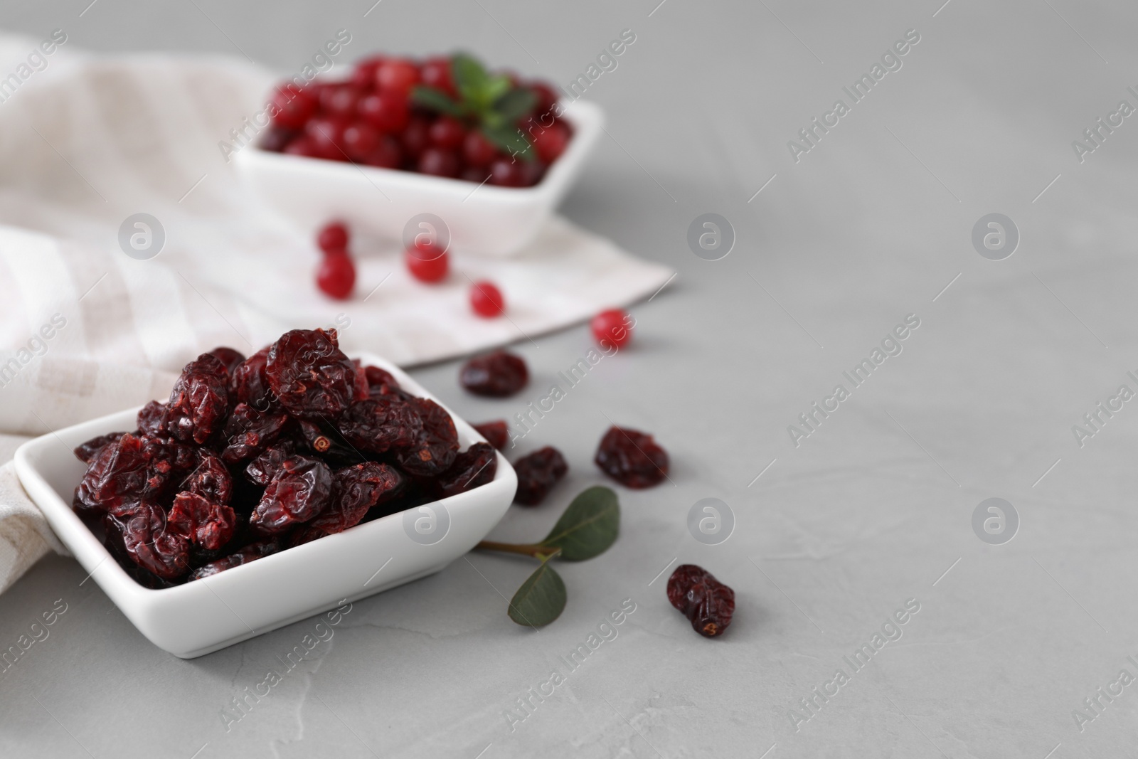 Photo of Dried and fresh cranberries on light table, space for text