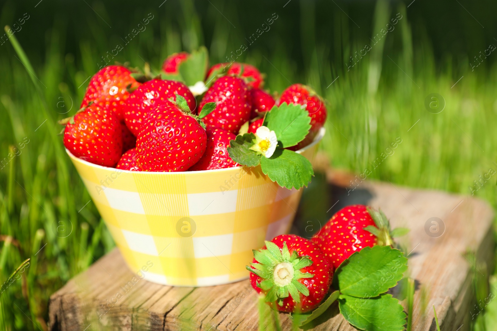 Photo of Bowl and ripe strawberries on log outdoors, closeup