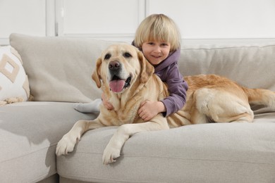 Cute little child with Golden Retriever on sofa at home. Adorable pet
