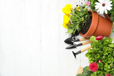 Composition with gardening equipment and flowers on wooden table, top view
