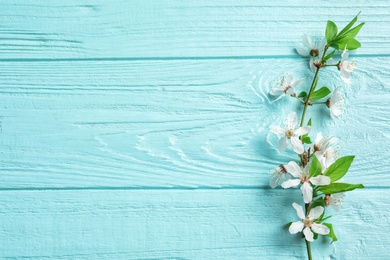 Photo of Beautiful blossoming branch on wooden background