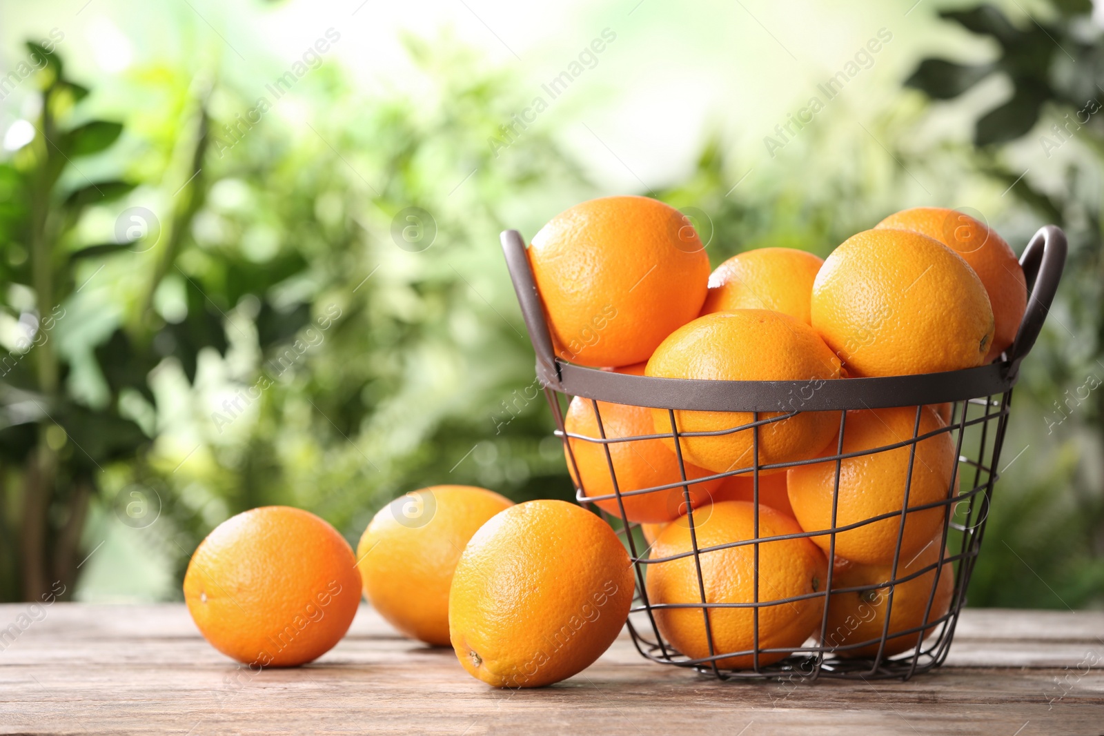 Photo of Basket and fresh oranges on wooden table. Space for text