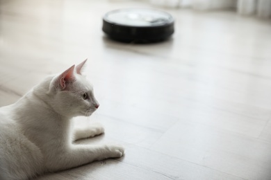 Cute white cat in room and modern robotic vacuum cleaner on background