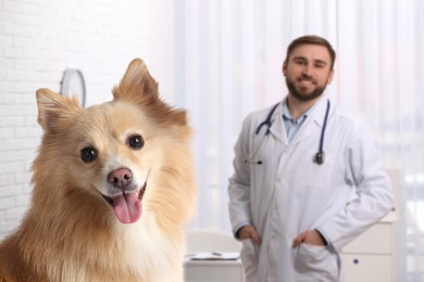 Image of Veterinarian doc with adorable dog in clinic