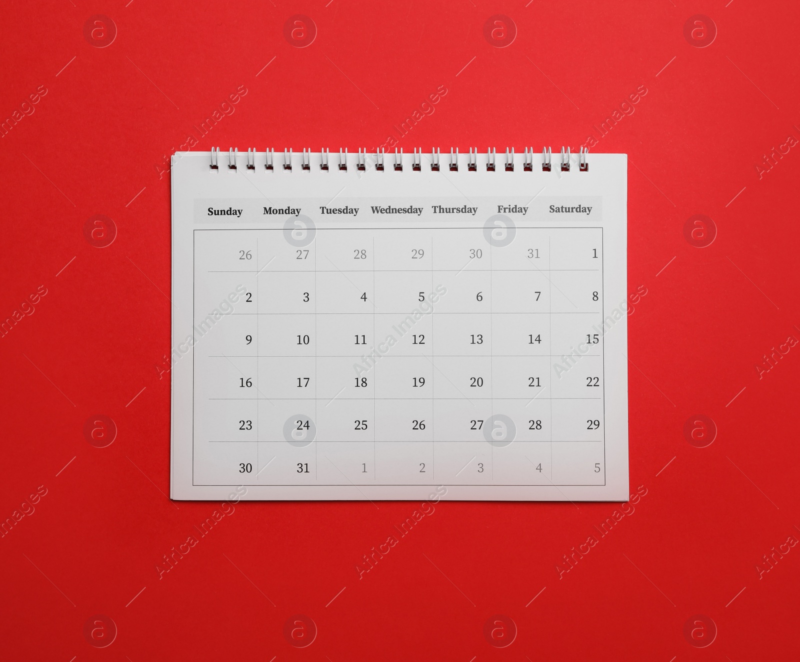 Photo of Paper calendar on red background, top view