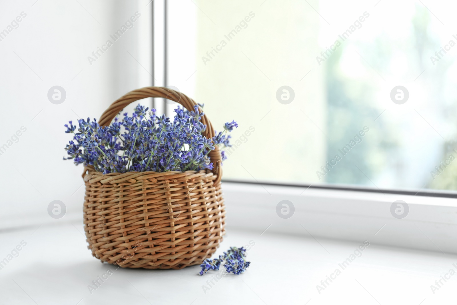 Photo of Fresh lavender flowers in basket on window sill, space for text