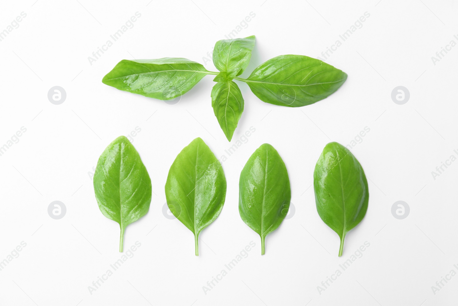 Photo of Fresh green basil leaves on white background, top view