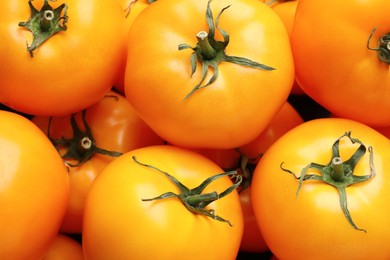 Photo of Fresh ripe yellow tomatoes as background, closeup view