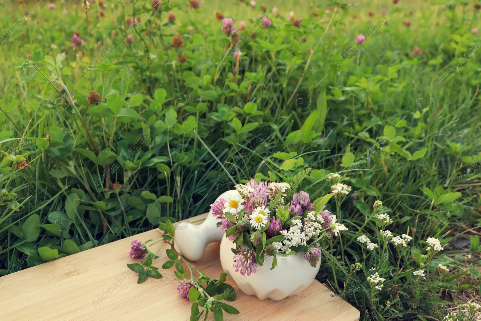 Photo of Ceramic mortar with pestle, different wildflowers and herbs on wooden board in meadow