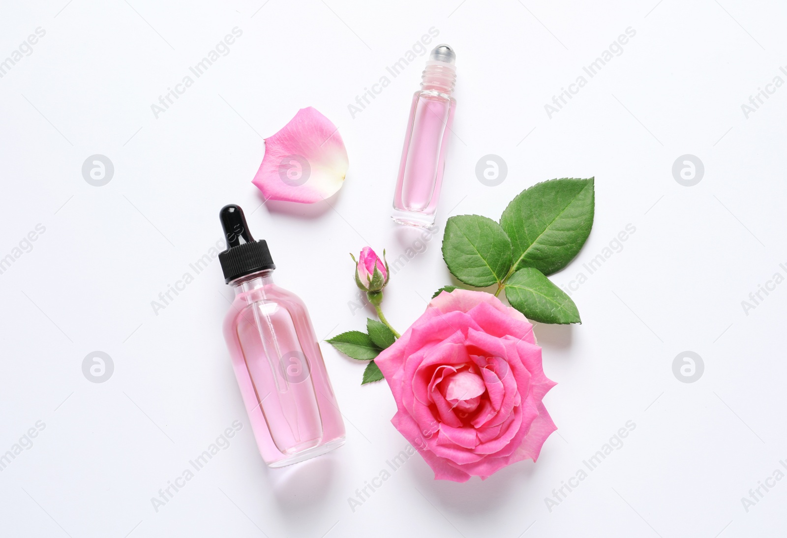 Photo of Composition with rose essential oil and flowers on white background, top view