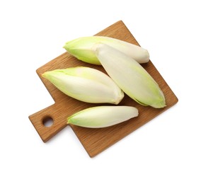 Photo of Raw ripe chicories on white background, top view