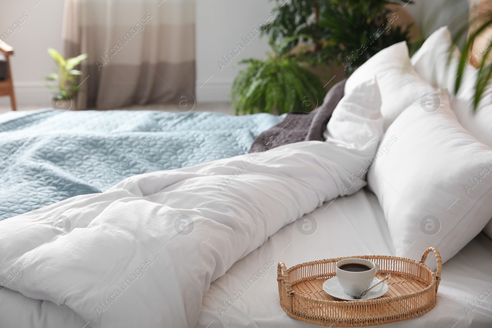 Photo of Cup of coffee on bed in room decorated with green plants. Home design ideas