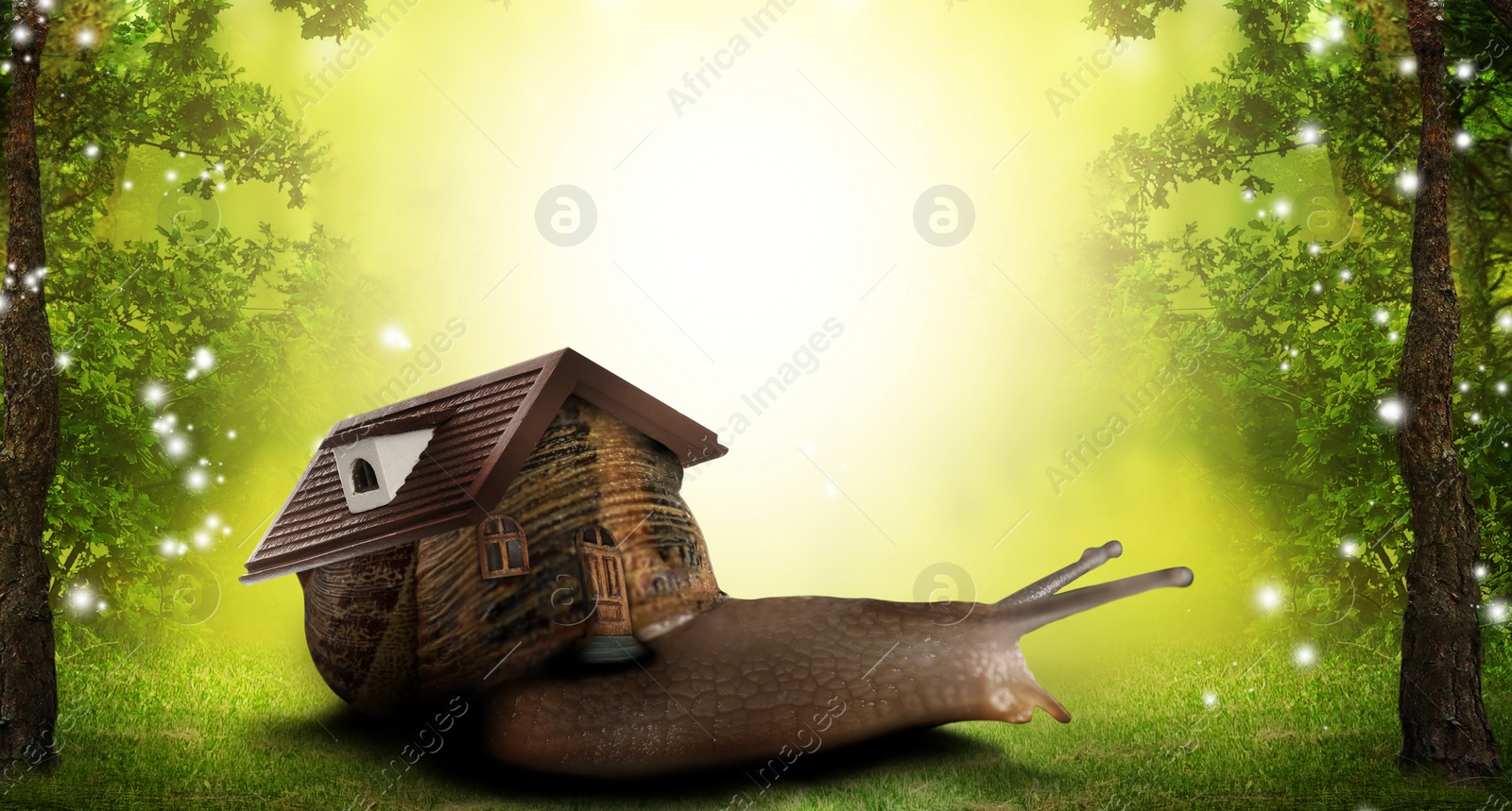 Image of Fantasy world. Magic snail with its shell house moving in beautiful fairy forest. Banner design