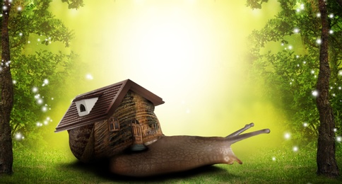 Image of Fantasy world. Magic snail with its shell house moving in beautiful fairy forest. Banner design