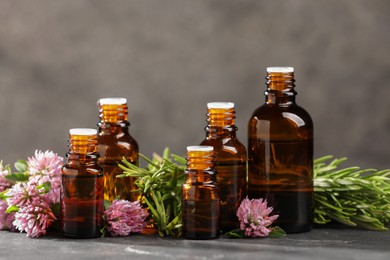 Photo of Bottles with essential oils, clover and rosemary on grey textured table, closeup