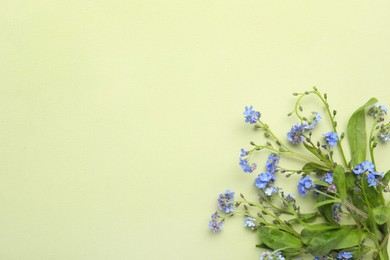Beautiful blue forget-me-not flowers on light green background, flat lay. Space for text