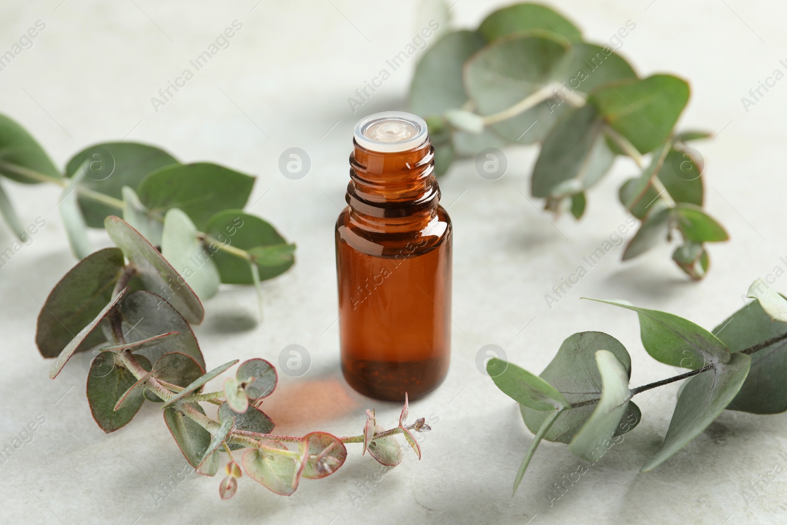 Photo of Bottle of eucalyptus essential oil and leaves on white table