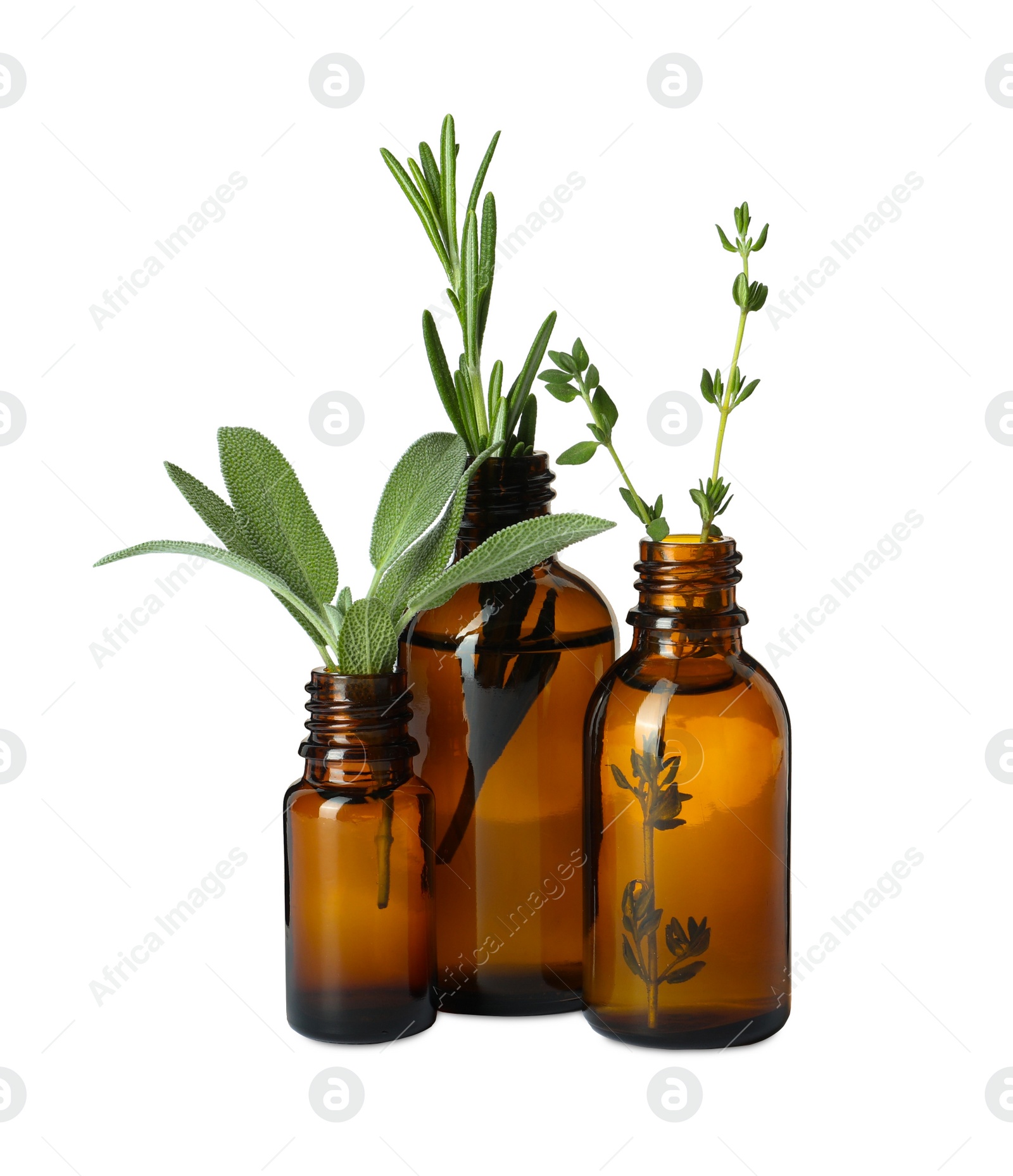 Photo of Bottle of essential oil and fresh herbs isolated on white