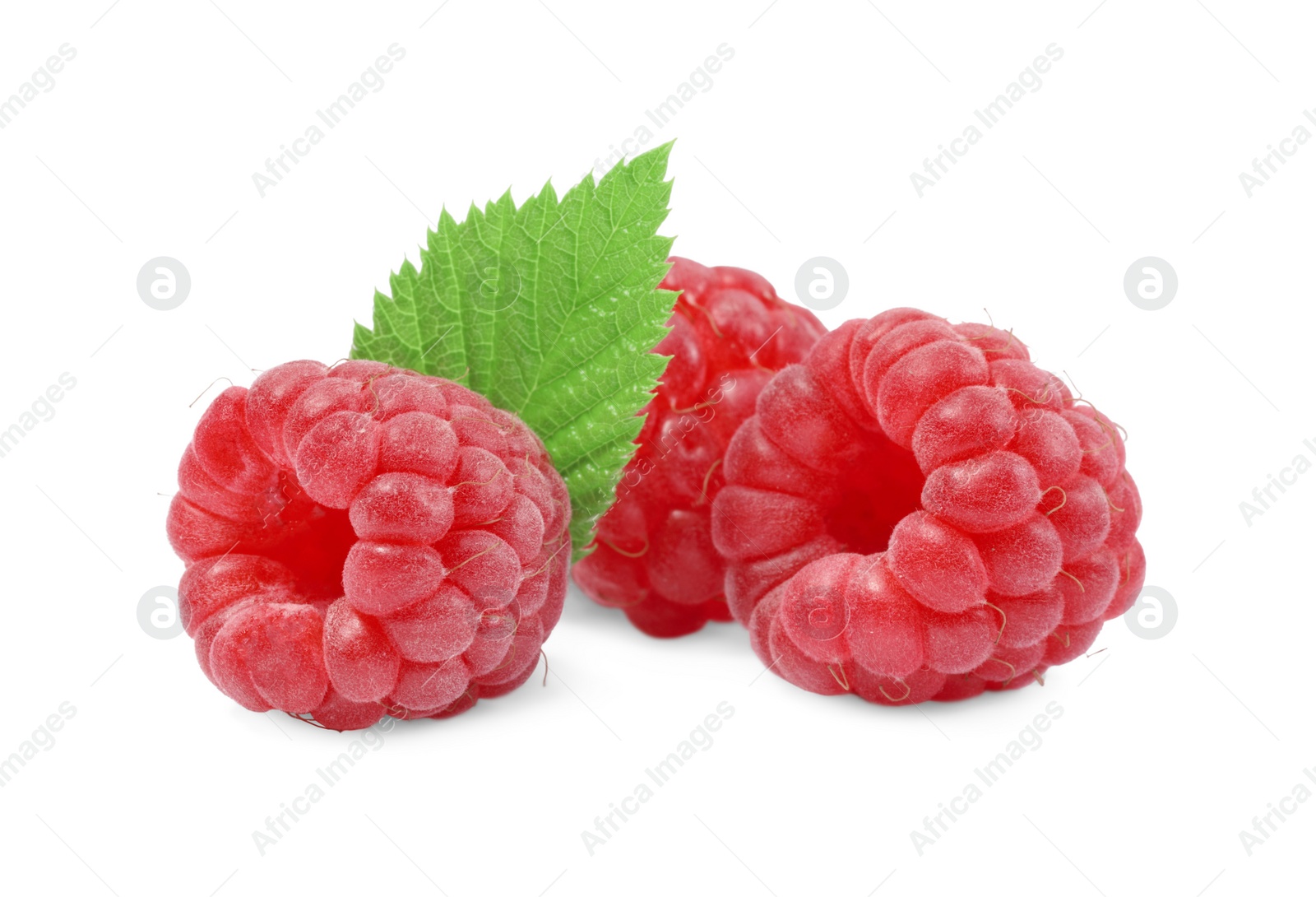 Photo of Fresh ripe raspberries and green leaves isolated on white