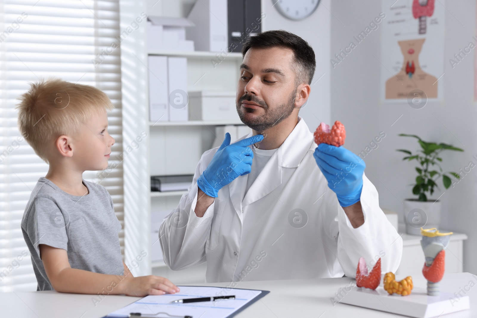 Photo of Endocrinologist showing thyroid gland model to little patient at table in hospital