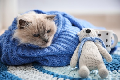 Photo of Cute cat in knitted sweater with toy lying on floor at home. Warm and cozy winter