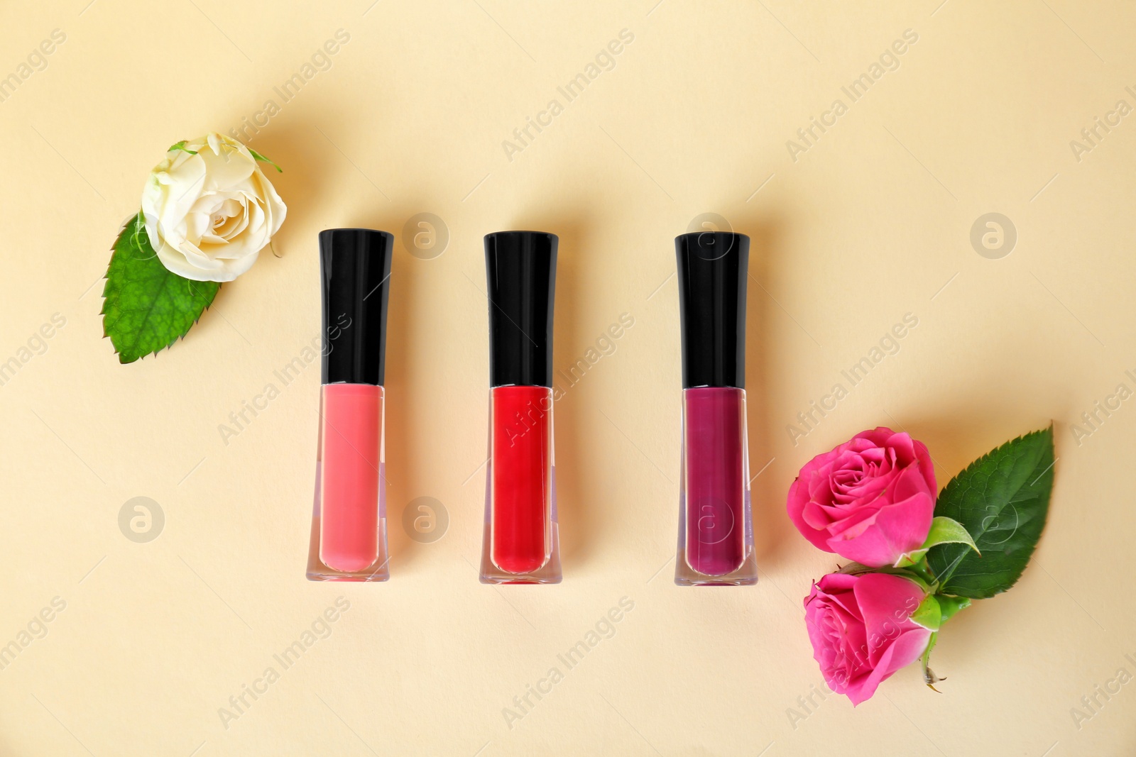 Photo of Lip glosses and flowers on color background