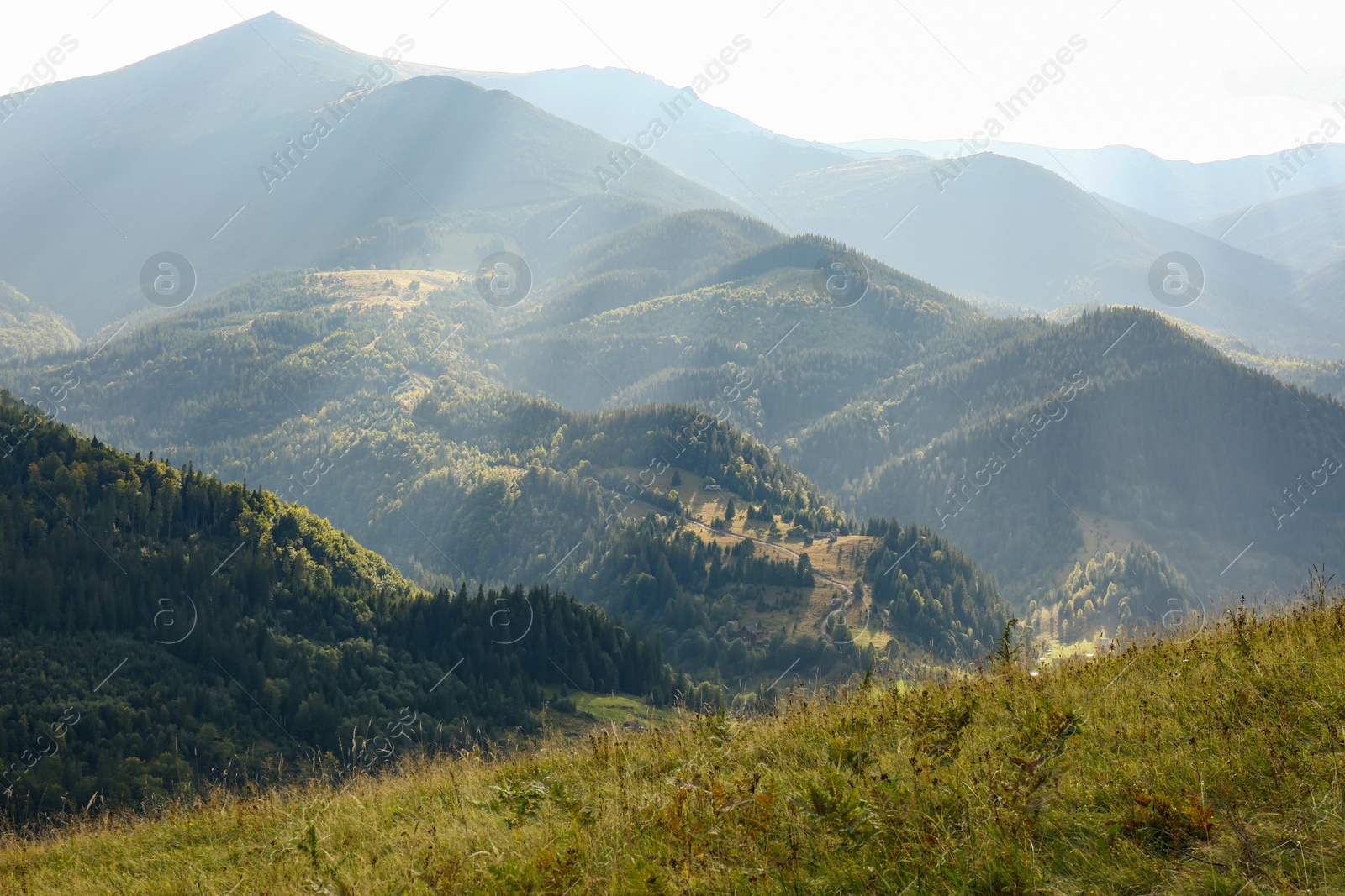 Photo of Picturesque view of beautiful mountains on sunny day