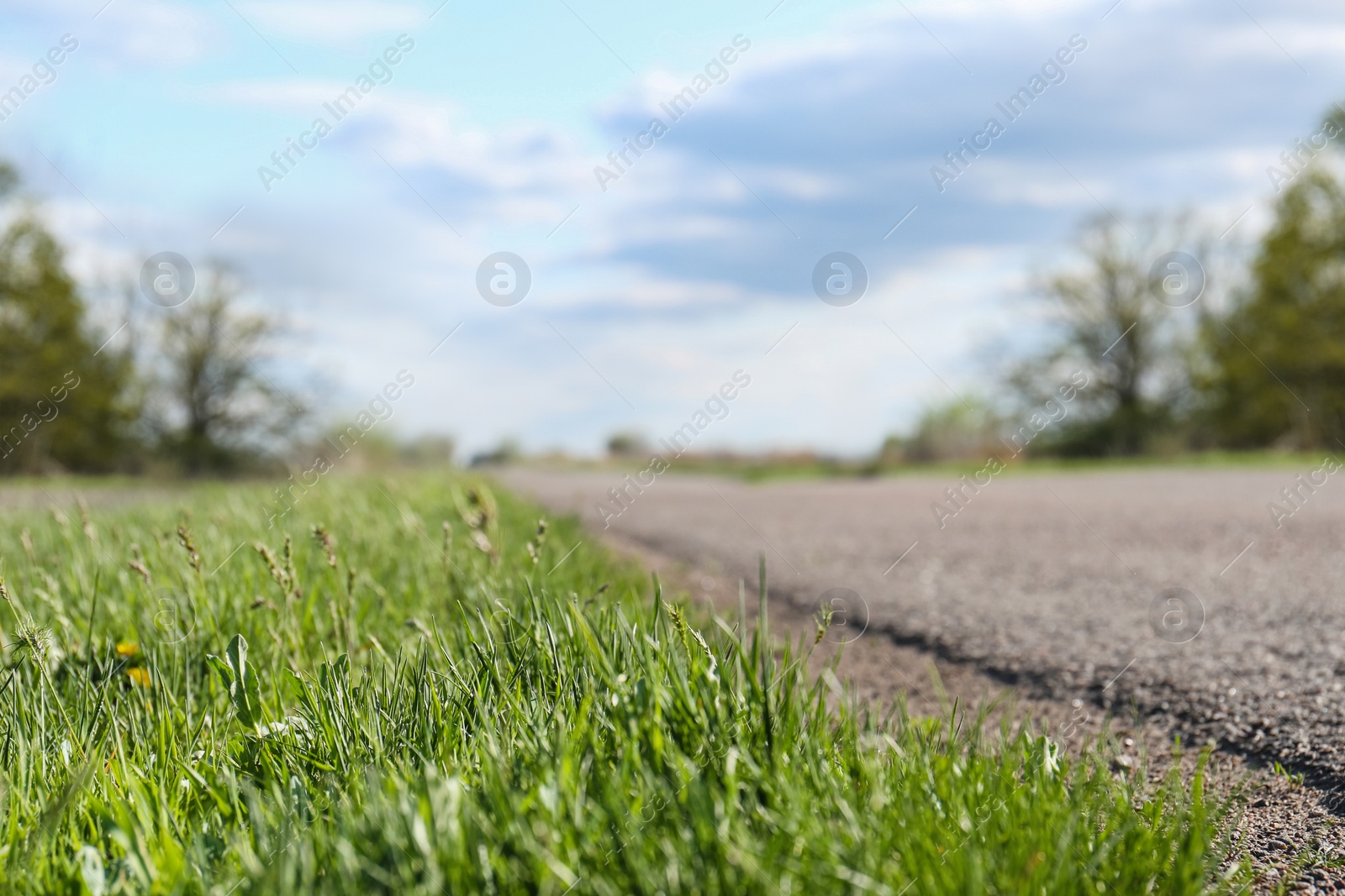 Photo of Beautiful view of green grass near road on cloudy day, closeup