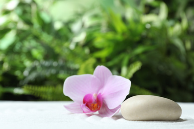 Photo of Stone and beautiful flower on sand against blurred green background. Zen, meditation, harmony