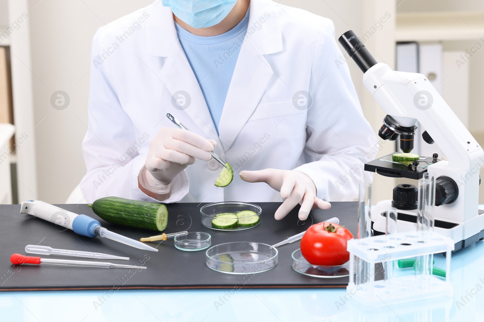 Photo of Quality control. Food inspector examining cucumber in laboratory, closeup