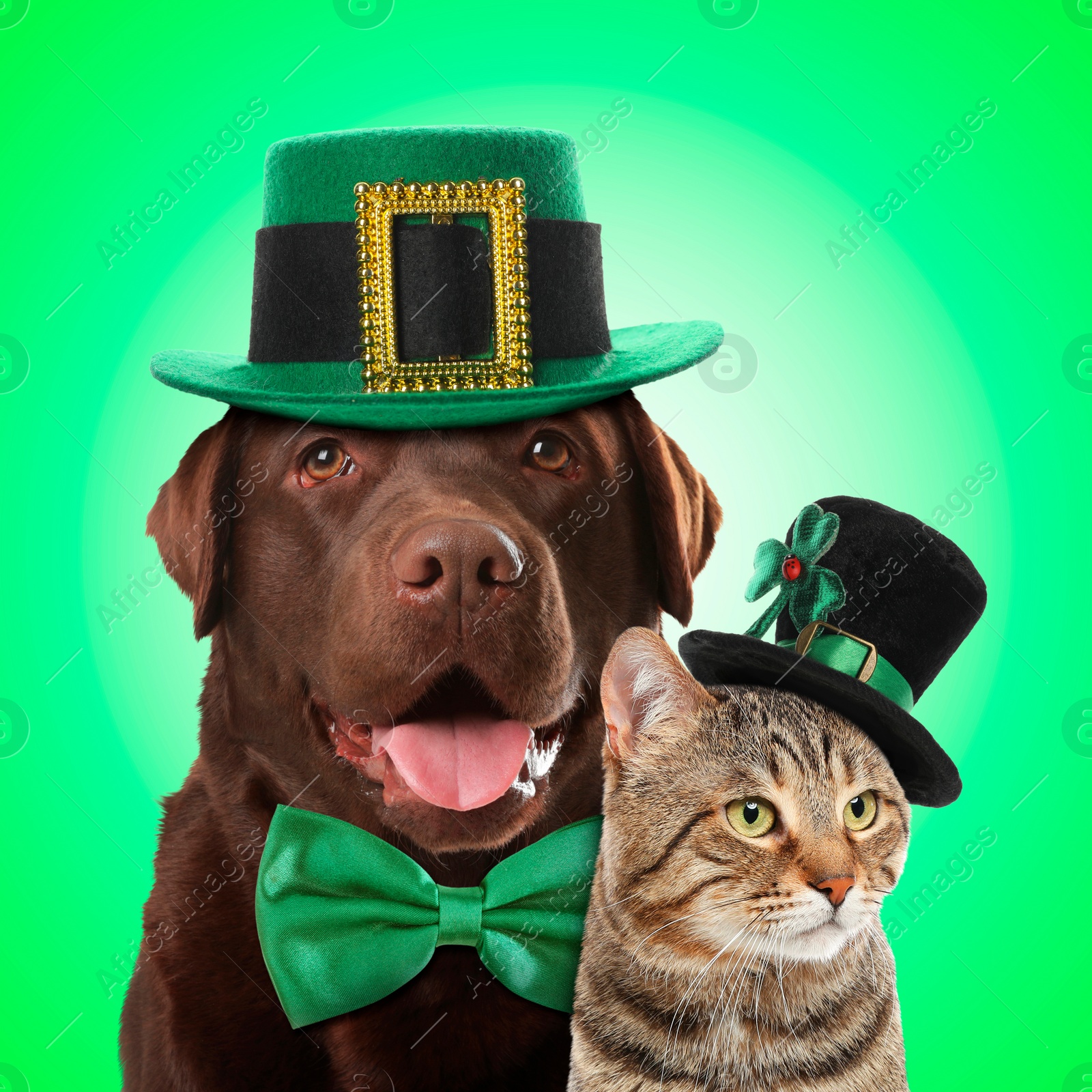 Image of St. Patrick's day celebration. Cute dog and cat with leprechaun hats on green background