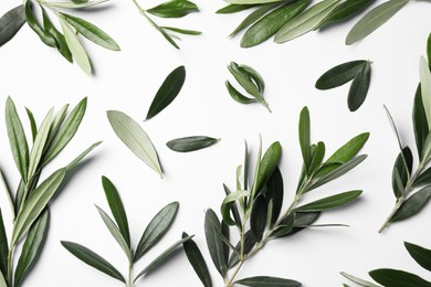 Photo of Olive twigs with fresh green leaves on white background, flat lay