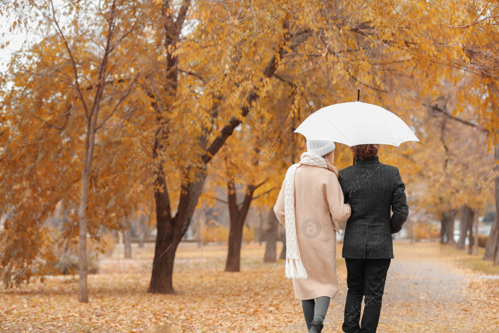 Photo of Romantic couple with umbrella walking in park on autumn day