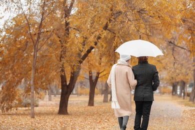 Romantic couple with umbrella walking in park on autumn day