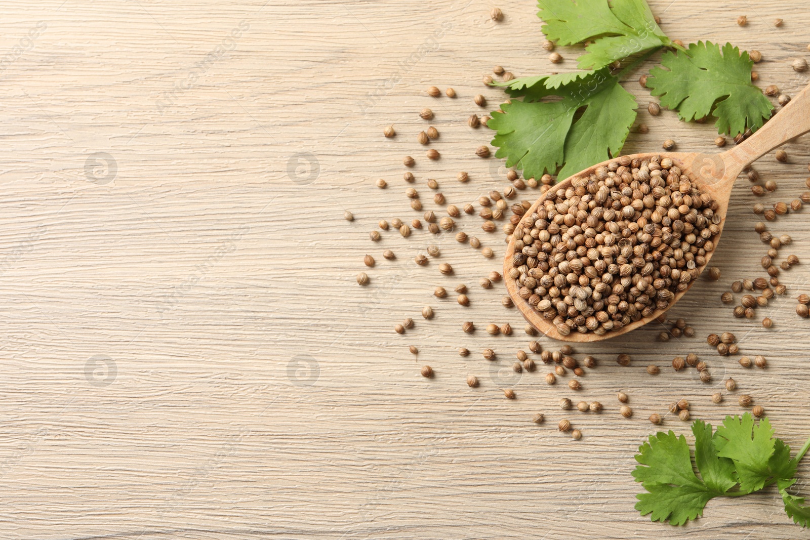 Photo of Spoon with dried coriander seeds and green leaves on wooden table, flat lay. Space for text