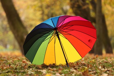 Photo of Open rainbow umbrella on fallen leaves in autumn park