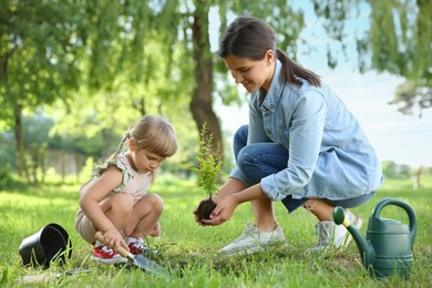 Photo of Mother and her daughter planting tree together in garden