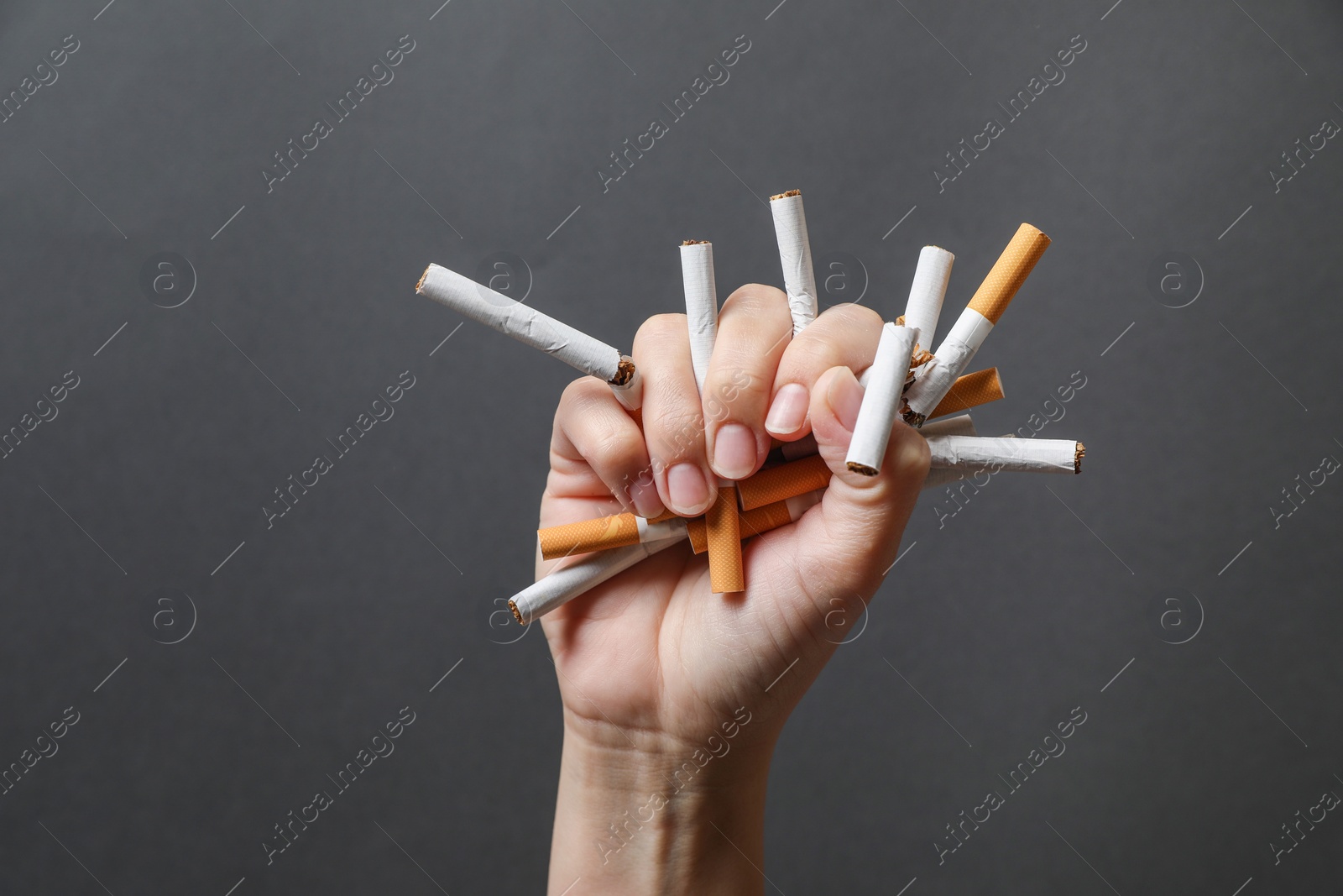 Photo of Stop smoking. Woman holding broken cigarettes on grey background, closeup