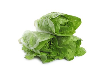 Photo of Fresh green romaine lettuces isolated on white