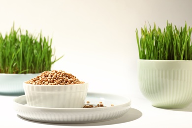 Photo of Ceramic dishware with wheat seeds and grass on white background, space for text