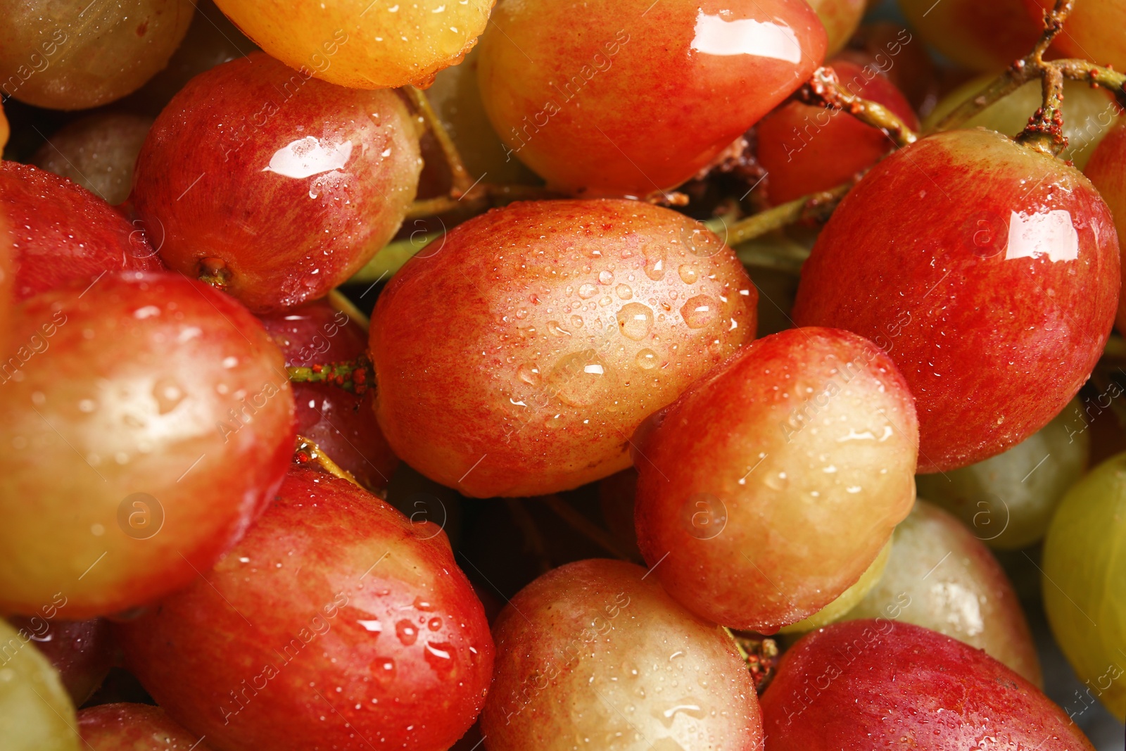 Photo of Fresh ripe juicy grapes as background, closeup