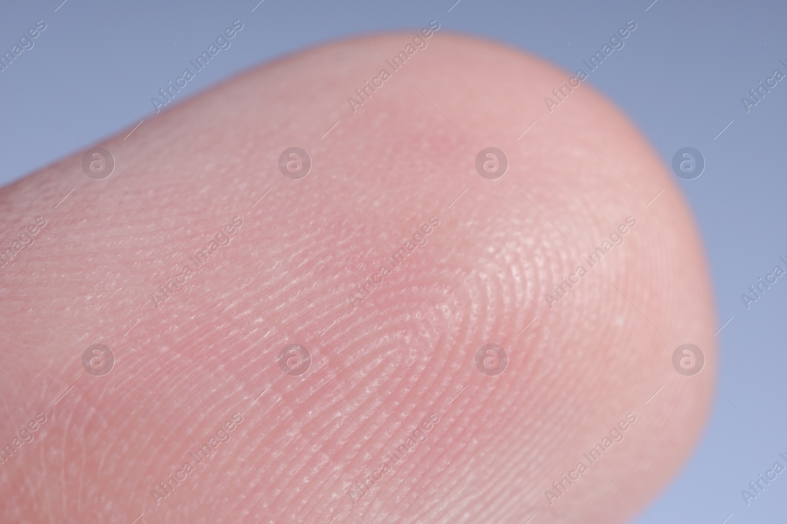 Photo of Finger with friction ridges on light blue background, macro view