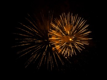 Image of Beautiful bright fireworks lighting up night sky