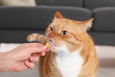 Photo of Woman giving vitamin pill to cute ginger cat indoors, closeup