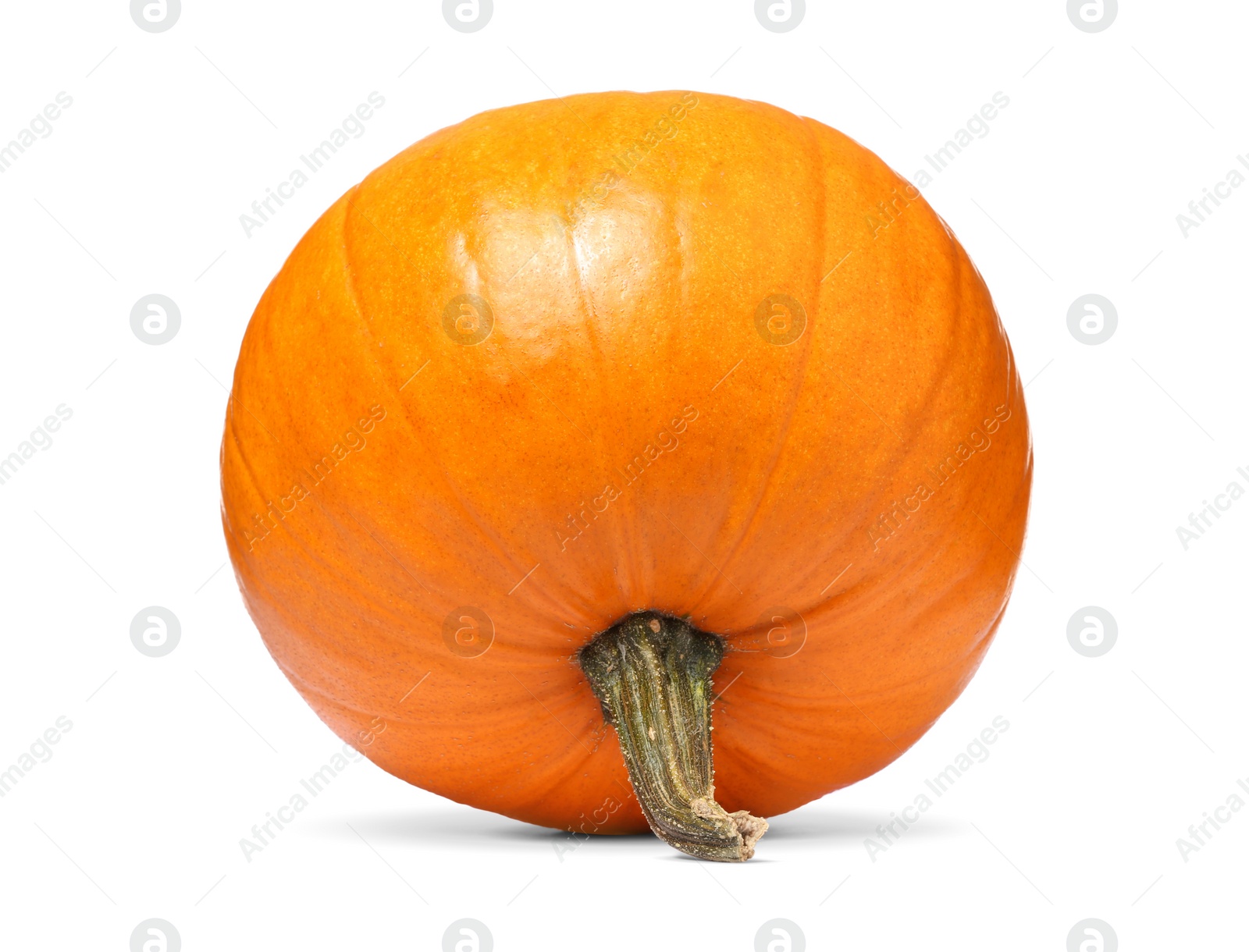 Photo of One fresh orange pumpkin isolated on white